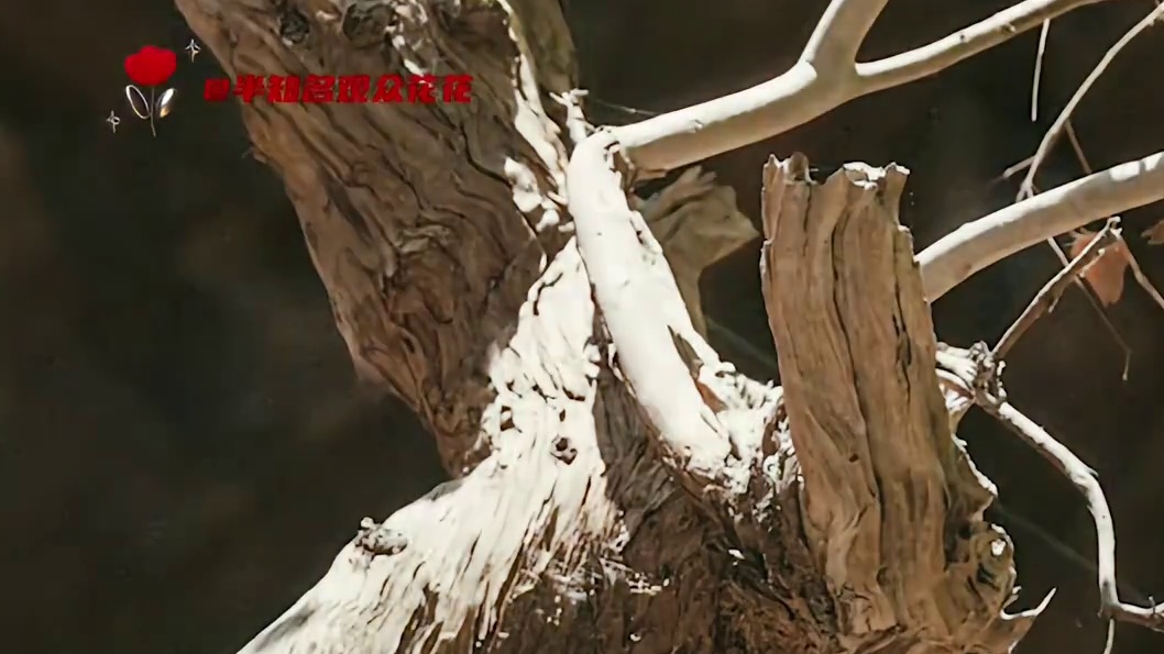 孙坚就是我的互联网好朋友#孙坚高能量内娱活人