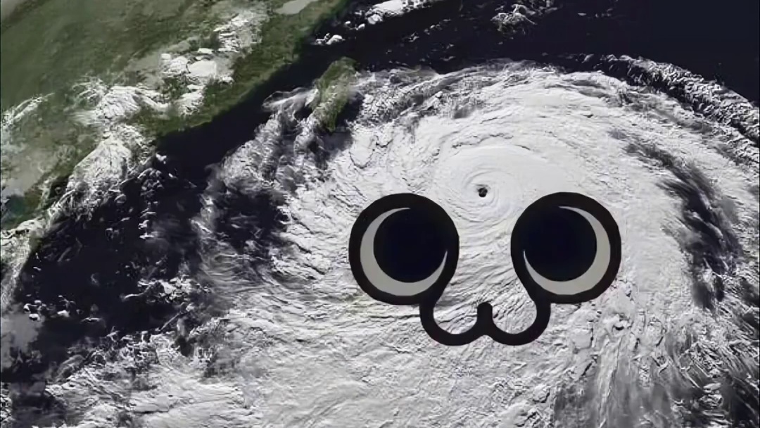 台风“桦加沙”逼近，深圳人开启全民“行为艺术”防灾模式！