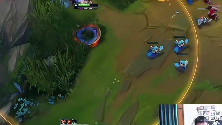 公式化打法在国服被反野就爆炸 #狮子狗 #lol