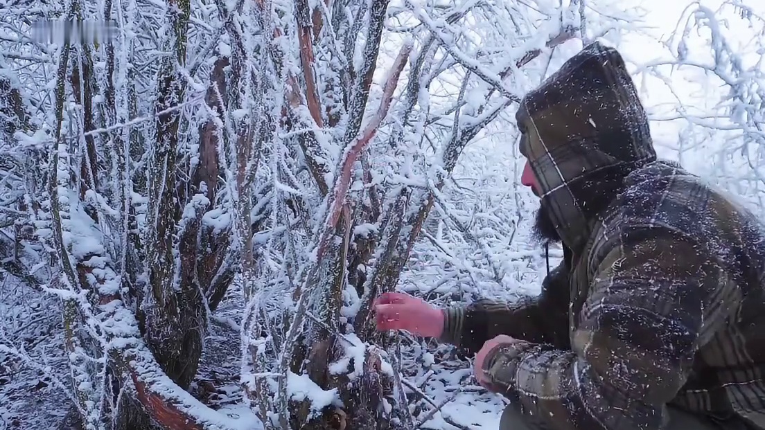 荒野独居两年半的他早已是轻车熟路
