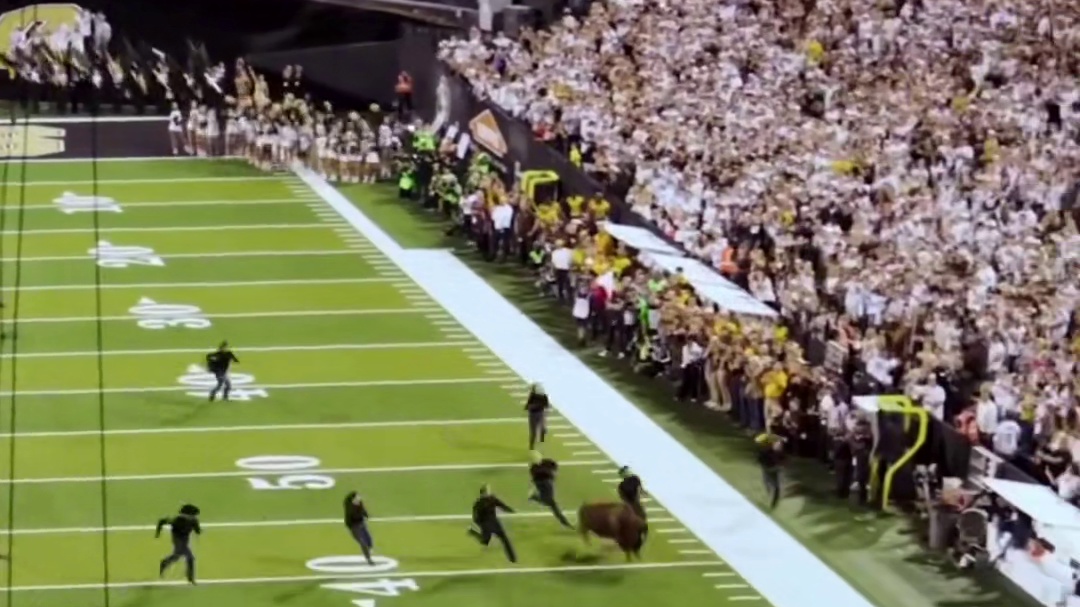 科罗拉多大学赛前仪式，新赛季开始！ #美式橄榄球 #大学橄榄球 #NCAA #橄榄球