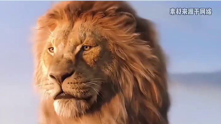 怪不得古人说：一员虎将可领百万雄师