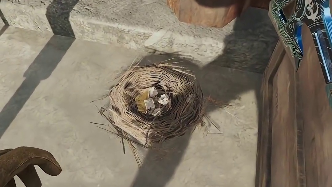 新增鸟窝聚集地！一次摸10个鸟窝，30个蛋能拿传说 #三角洲行动 #三角洲行动攻略 #三角洲行动欢乐