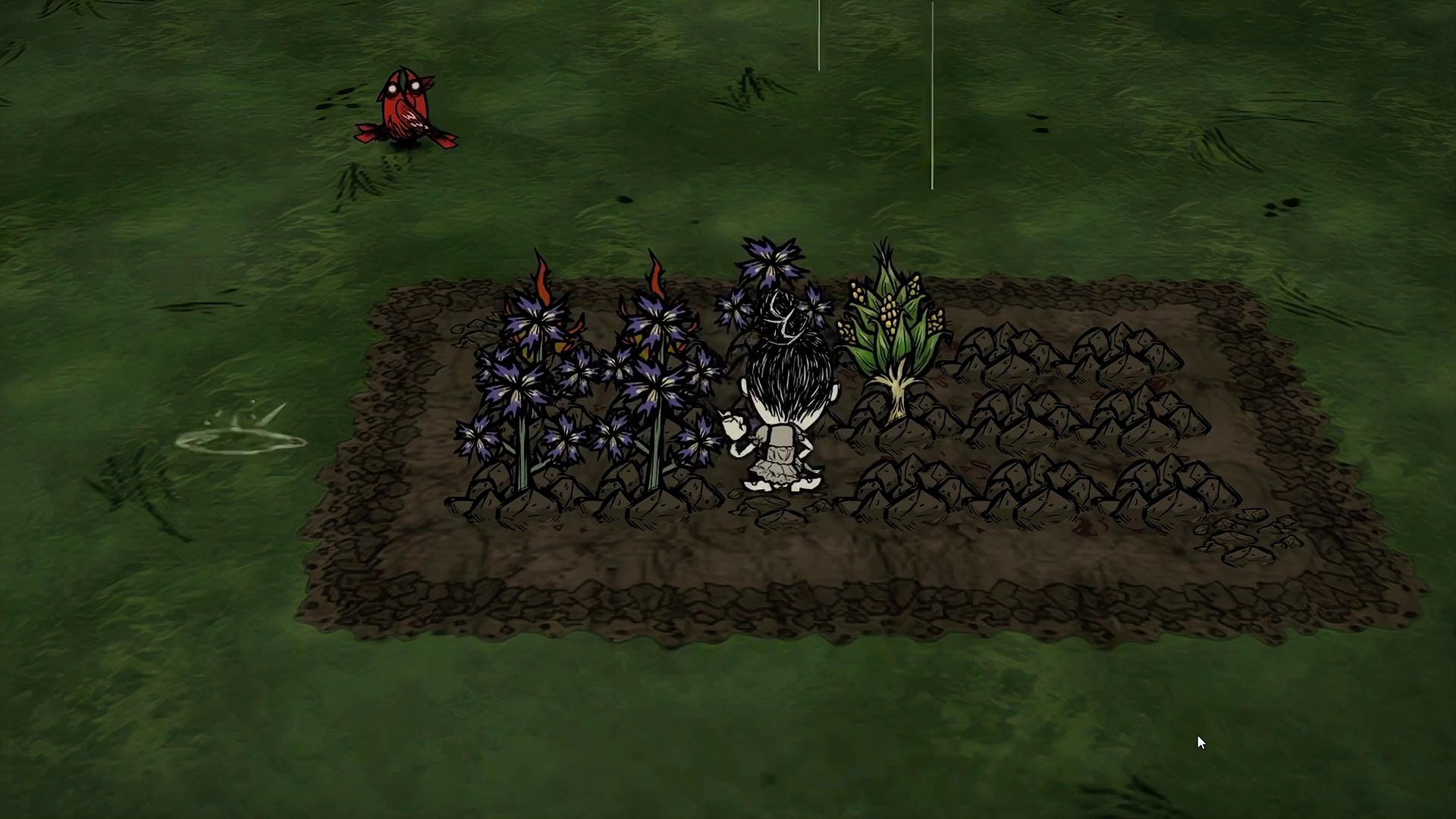 饥荒联机版：这些杂草有哪些神奇用途？如何快速繁殖杂草 #饥荒 #游戏实况 #游戏