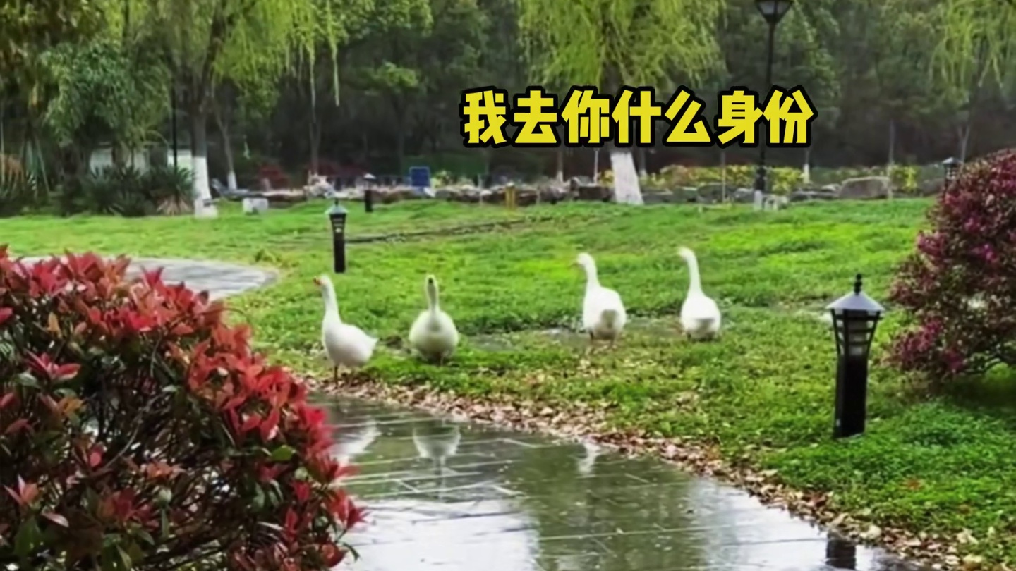 牵着不走打着倒退，谁惯的你们臭毛病！