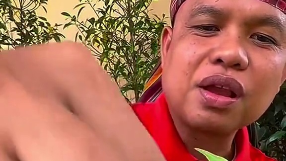 泰式酸辣️凉拌鱿鱼须