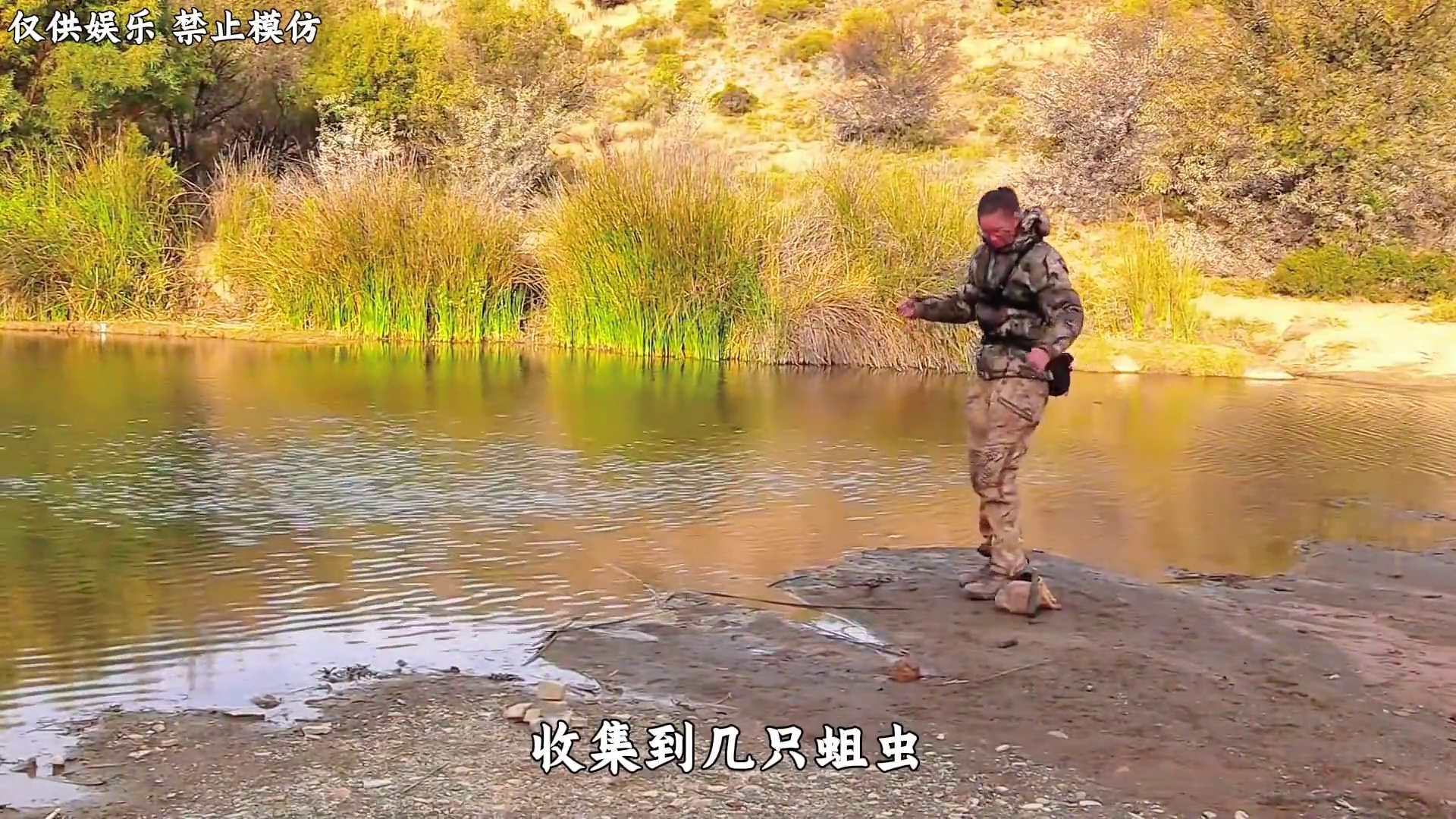 荒野独居第十二季最终章，内森再次钓到巨鲶，凯蒂发现豪猪踪迹