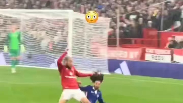 库库雷利亚暴雨中铲飞马兹拉维