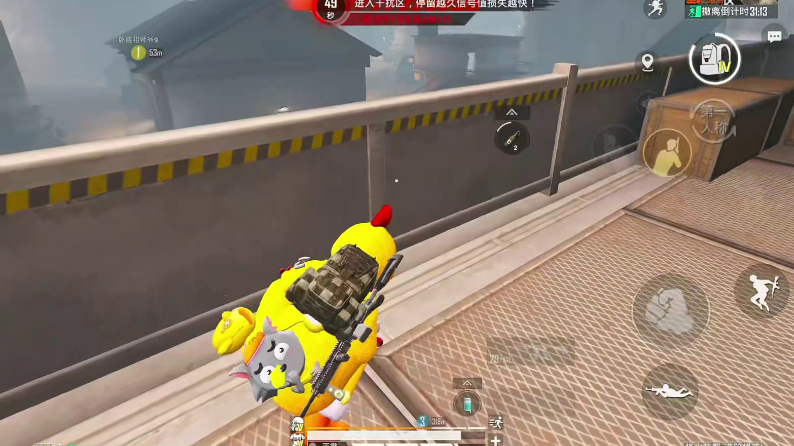 四排节双萌鸡出击！