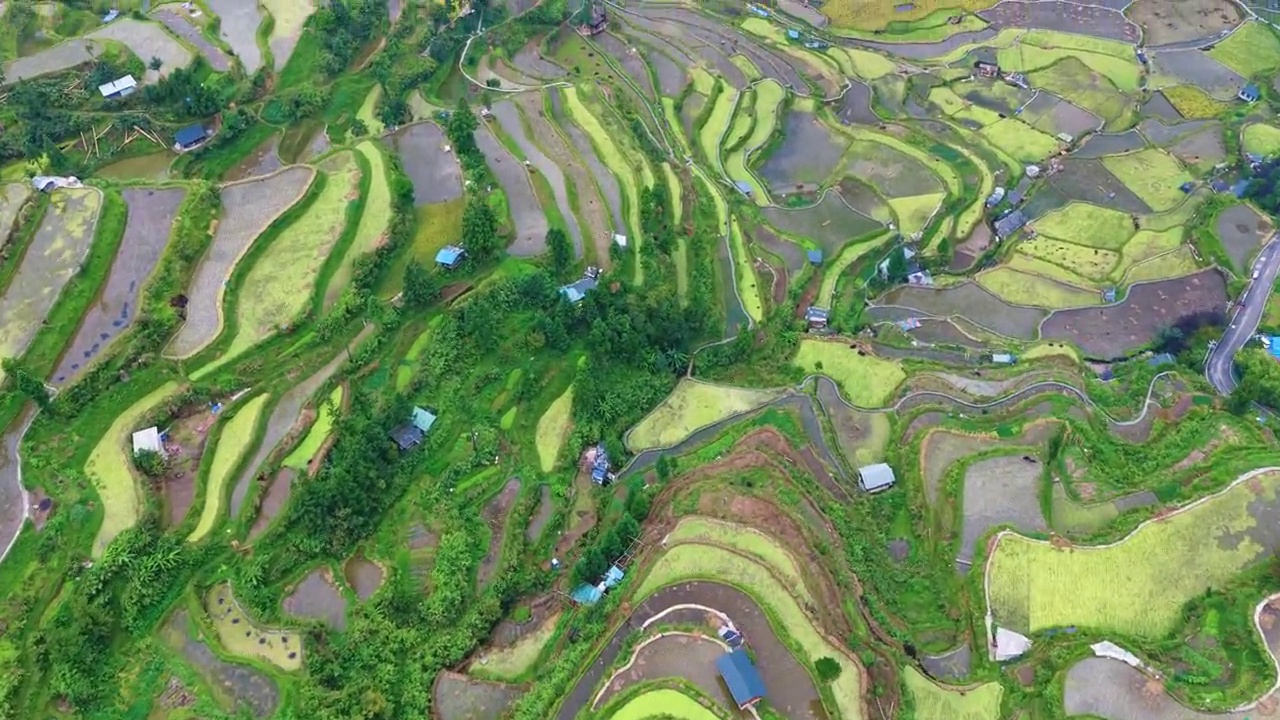 新手第一次飞…… 就怕炸鸡了。