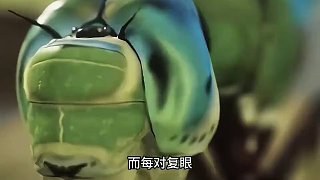 蜻蜓身上滿是無(wú)敵黑科技