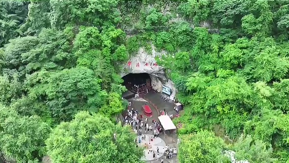 正规售票渠道通知