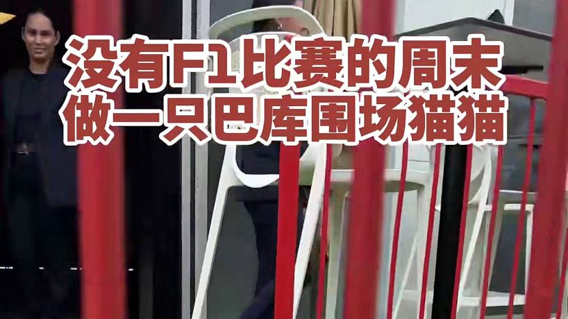 吾已洛陽城的直播