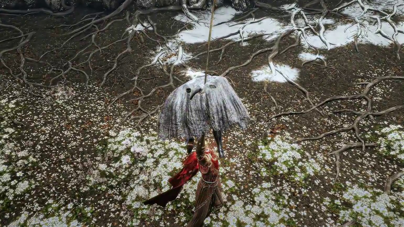 手感来了！#艾尔登法环 #猫和老鼠