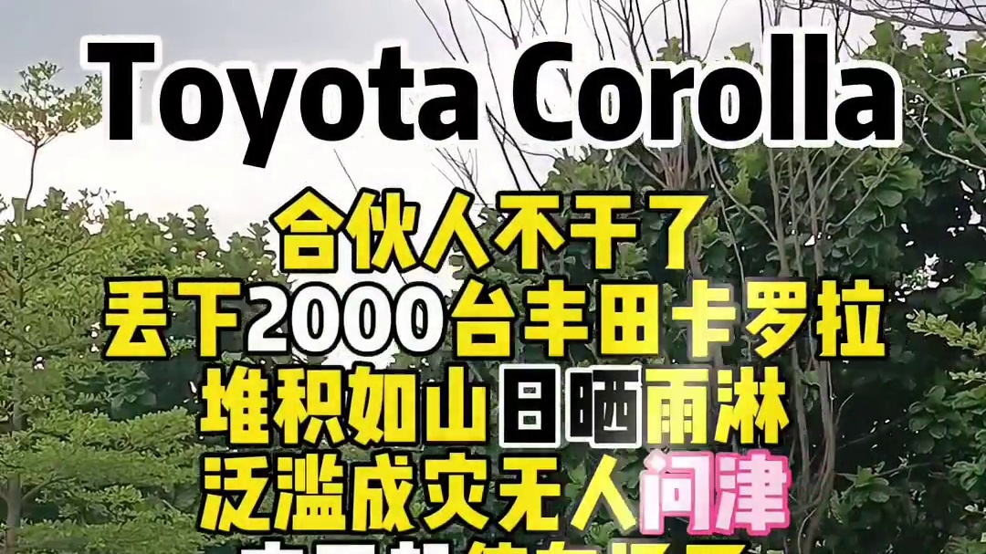 合伙人不干了丢下2000台丰田卡罗拉堆积如山日晒雨淋无人问津交不起停车场了#广州二手车#广西二手车车