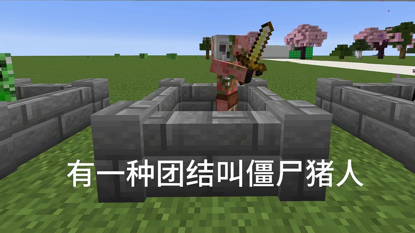 我的世界回忆！