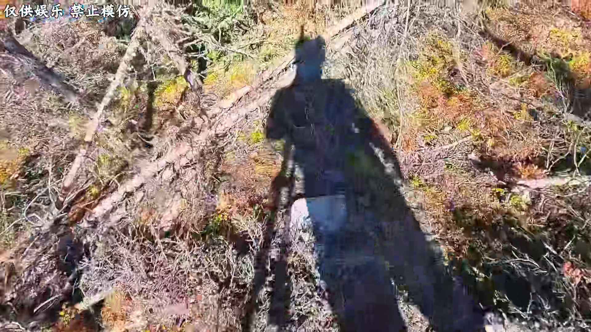 荒野独居第十季，大佬落地射松鸡钓湖鳟，不知挨饿为何物