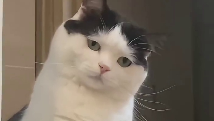 小咪咪就要坐米米车