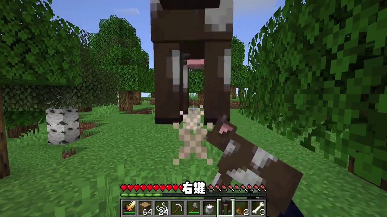 当MC任何万物都可以当箱子打开?! #我的世界#minecraft#游戏内容风向标#MC生存日记#青