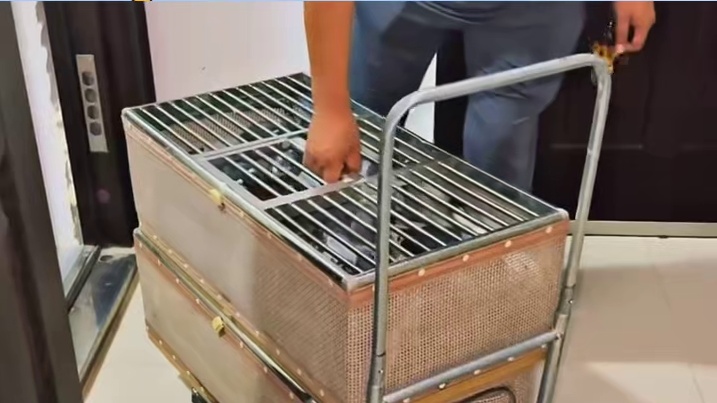 和平鸽也是有编制的兵鸽鸽了