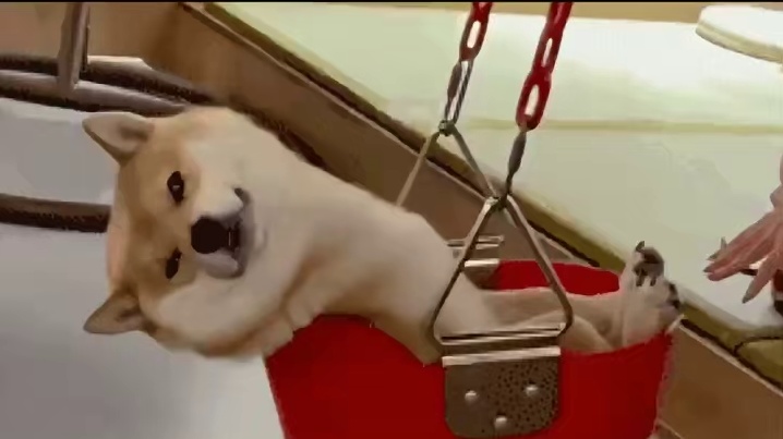 银与绯这次终于打破数值玩温度养成留了！ #银与绯 #银与绯阿尔伯特
#没有我的故乡 #银与绯阿尔伯特