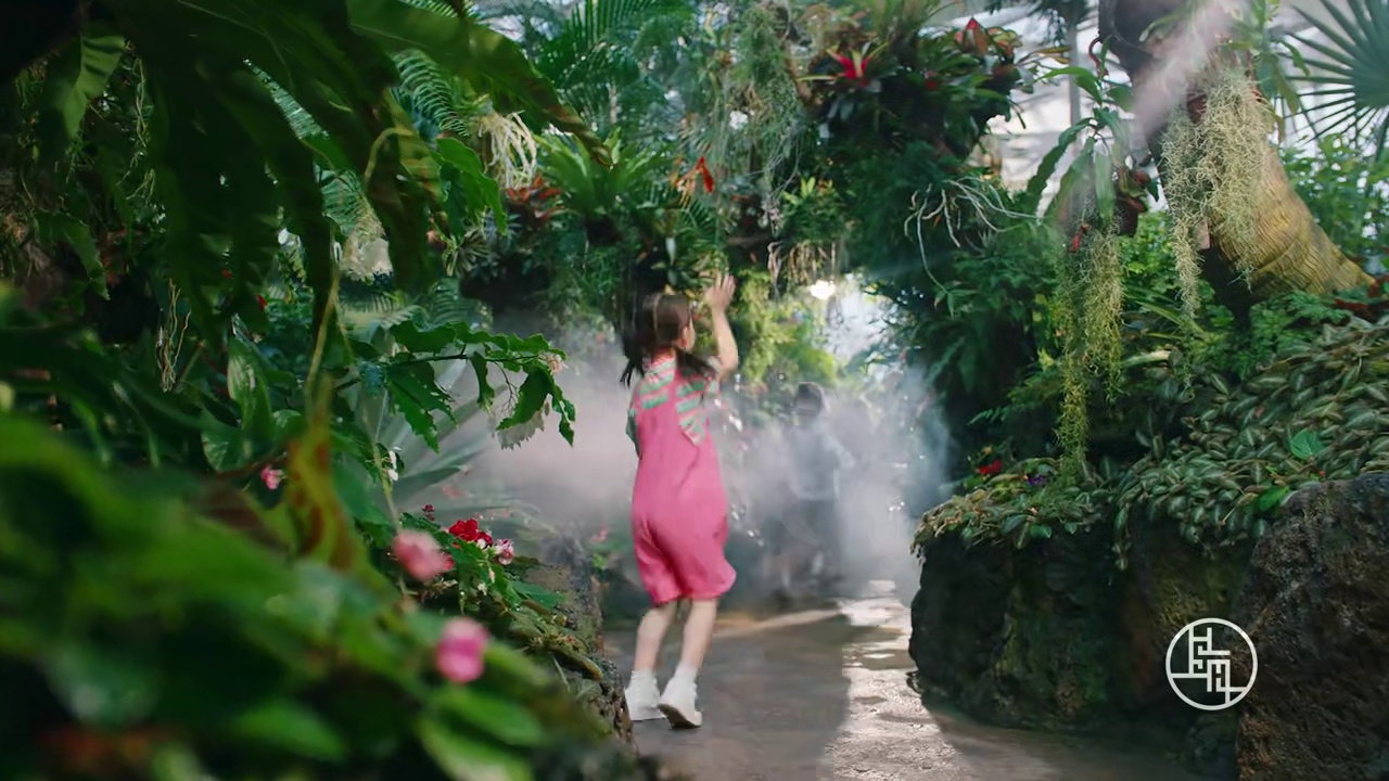 我发布了一个新视频，快来围观吧！