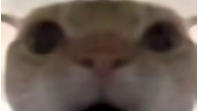 羽球人究竟是否有对象