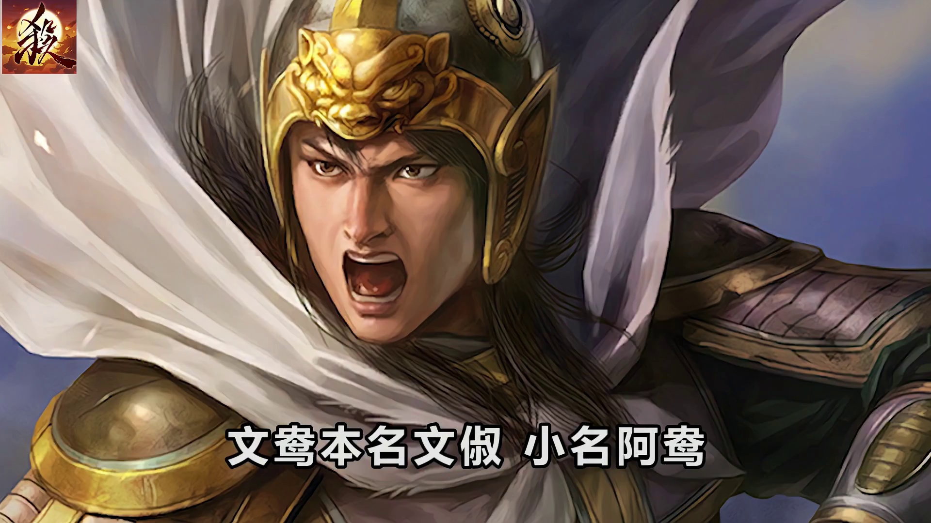 文鸯如果生在汉末那个年代 会是什么级别的猛将呢？ #三国杀合伙人 #三国杀小游戏 #三国杀 #文鸯 