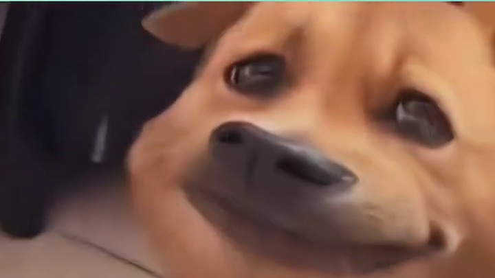 真诚是永远的必杀技