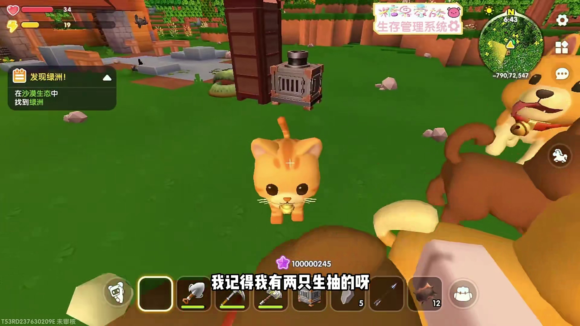 小猫小狗入住新家！ 迷你世界