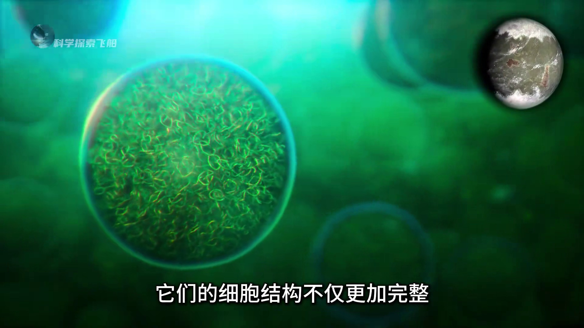 一次性看完地球五次生物大灭绝，献给每一位存在过的生灵！ #科普 #涨知识 #探索地球 #史前星球 #