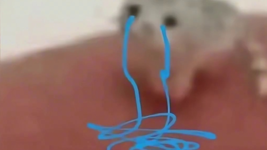 蛋仔派对：蛋仔竟然跟大运一样重？还拖着七个魔丸队友！ 蛋仔旅行家