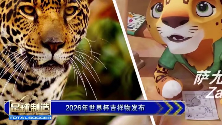 #纳尔卡社 #球星卡拆卡#足球球星卡 吉祥物