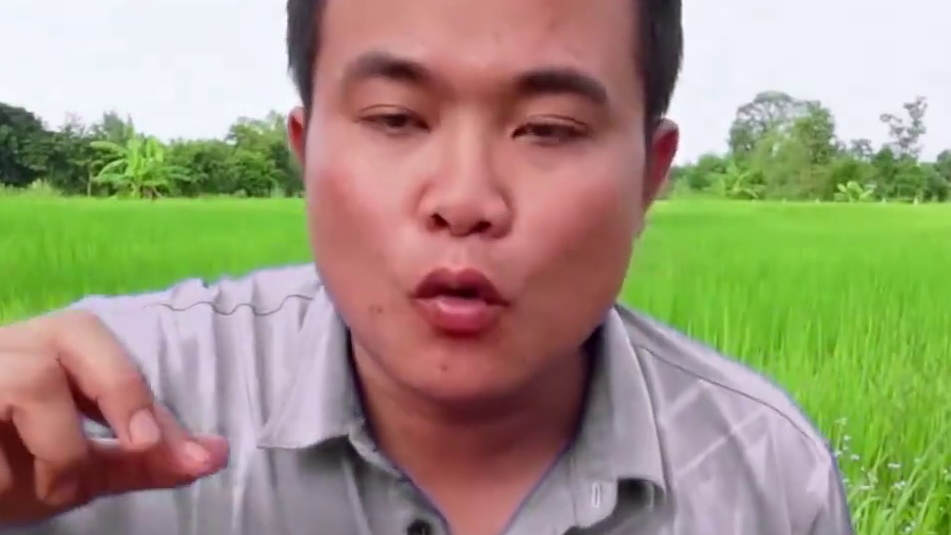 泰式️鲜辣酱汁搭配能喝的香甜蟹黄 泰国美食