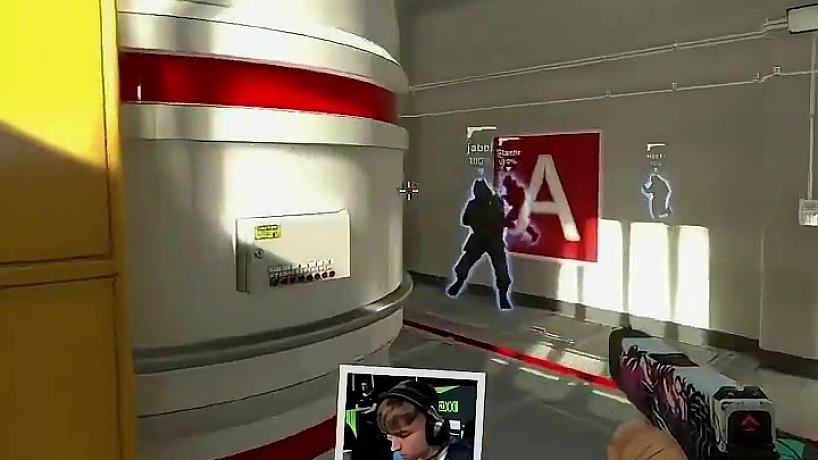 強(qiáng)半科勒氏鰍的直播