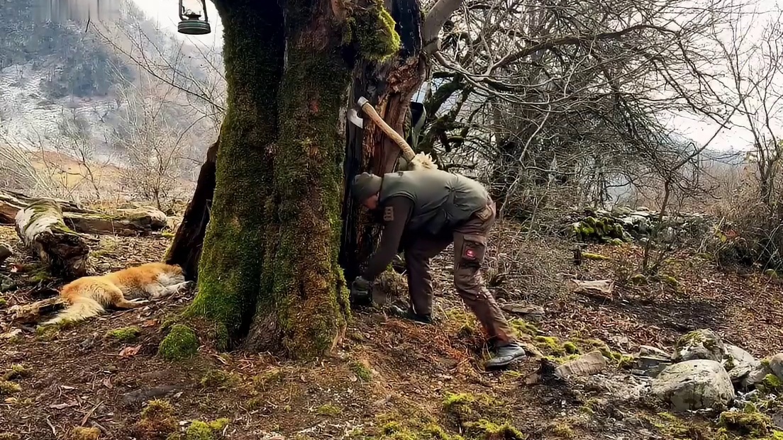 在雪峰皑皑的高加索山脉，阿布正前往下场荒野之旅