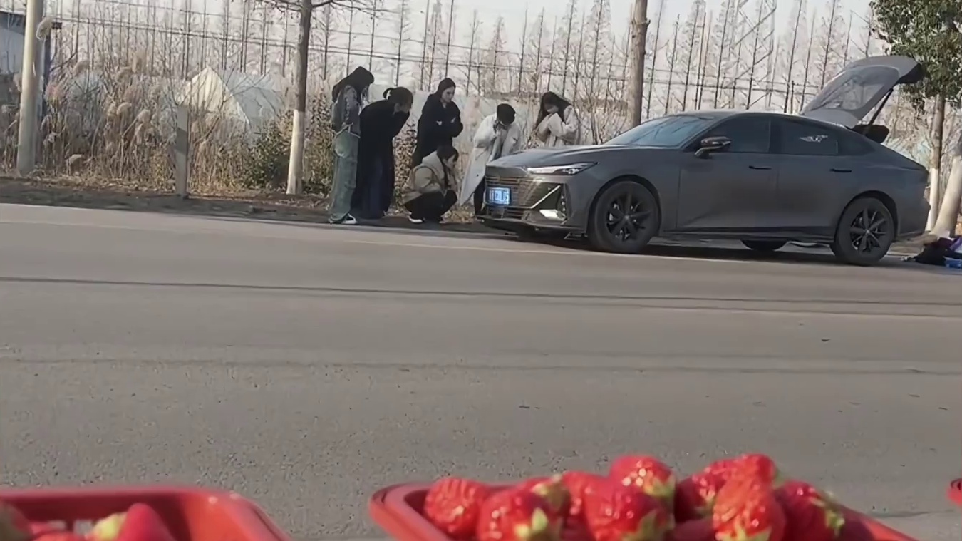 夫妻俩只是卖个草莓差点引发家庭内战