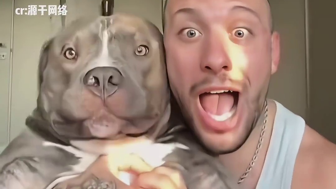 之前说宠物和主人会越长越像，之前我不信，现在我终于相信了