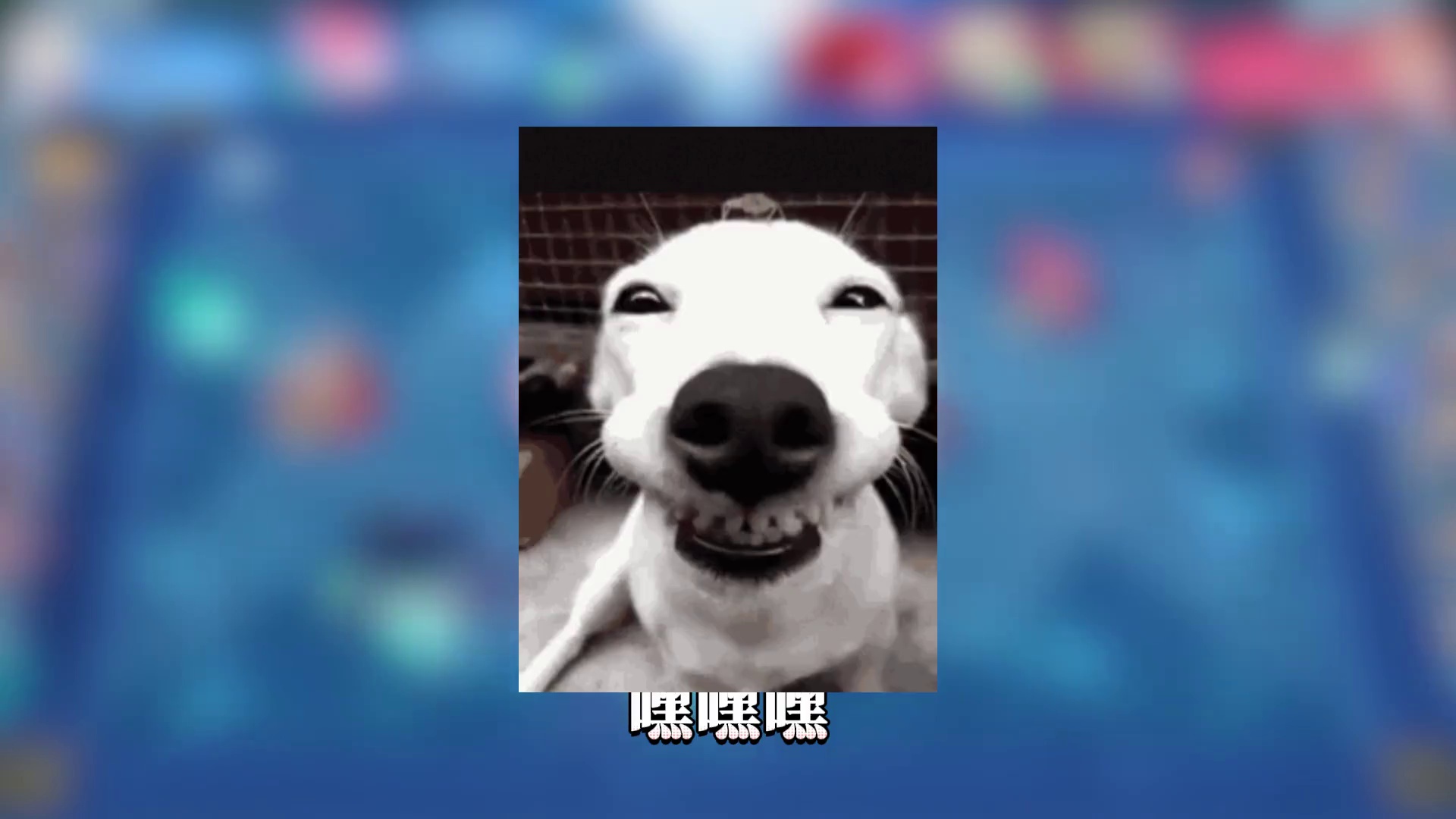 【星穹铁道】联机小活动居然部分玩家被抵制了？！pvp这么招黑吗？#崩坏星穹铁道#于长夜重返大地#长夜