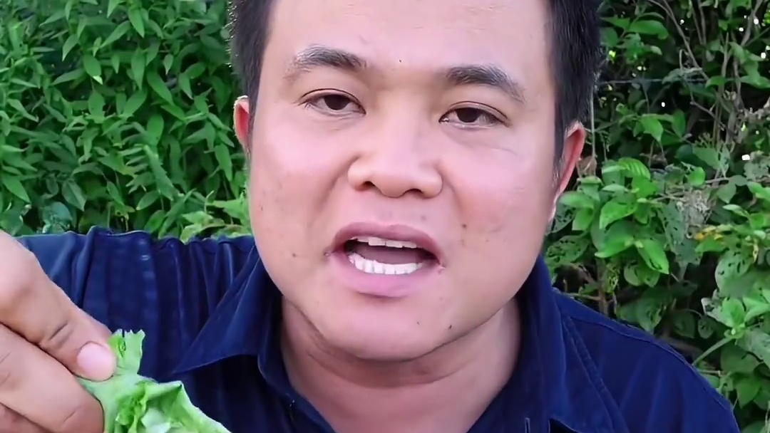 拉丝荷叶杆酸辣料汁️水嫩脆大章鱼足 泰国大叔种草激励计划