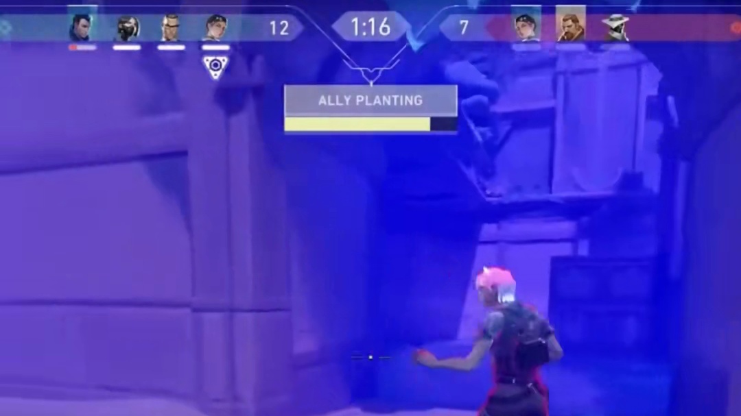 我只看到了一个绝望无助到发疯的暮蝶