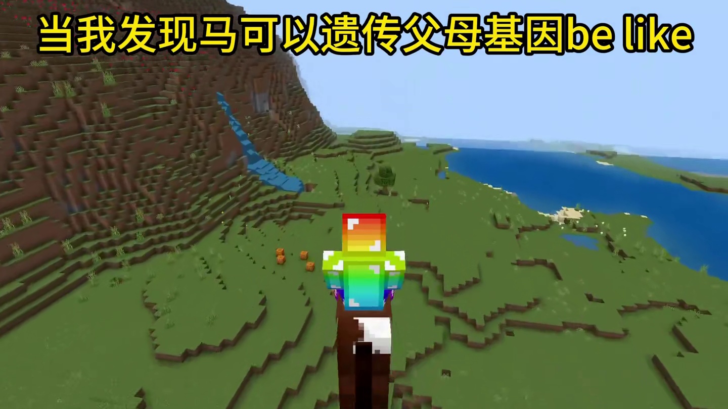 我的世界：当我发现马可以遗传父母基因be like