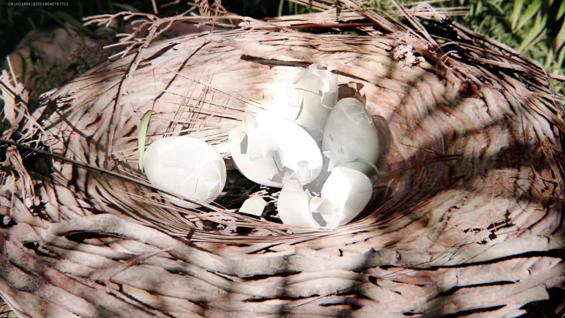 凑齐100个奇怪的蛋，我抽出了顶级红色房卡