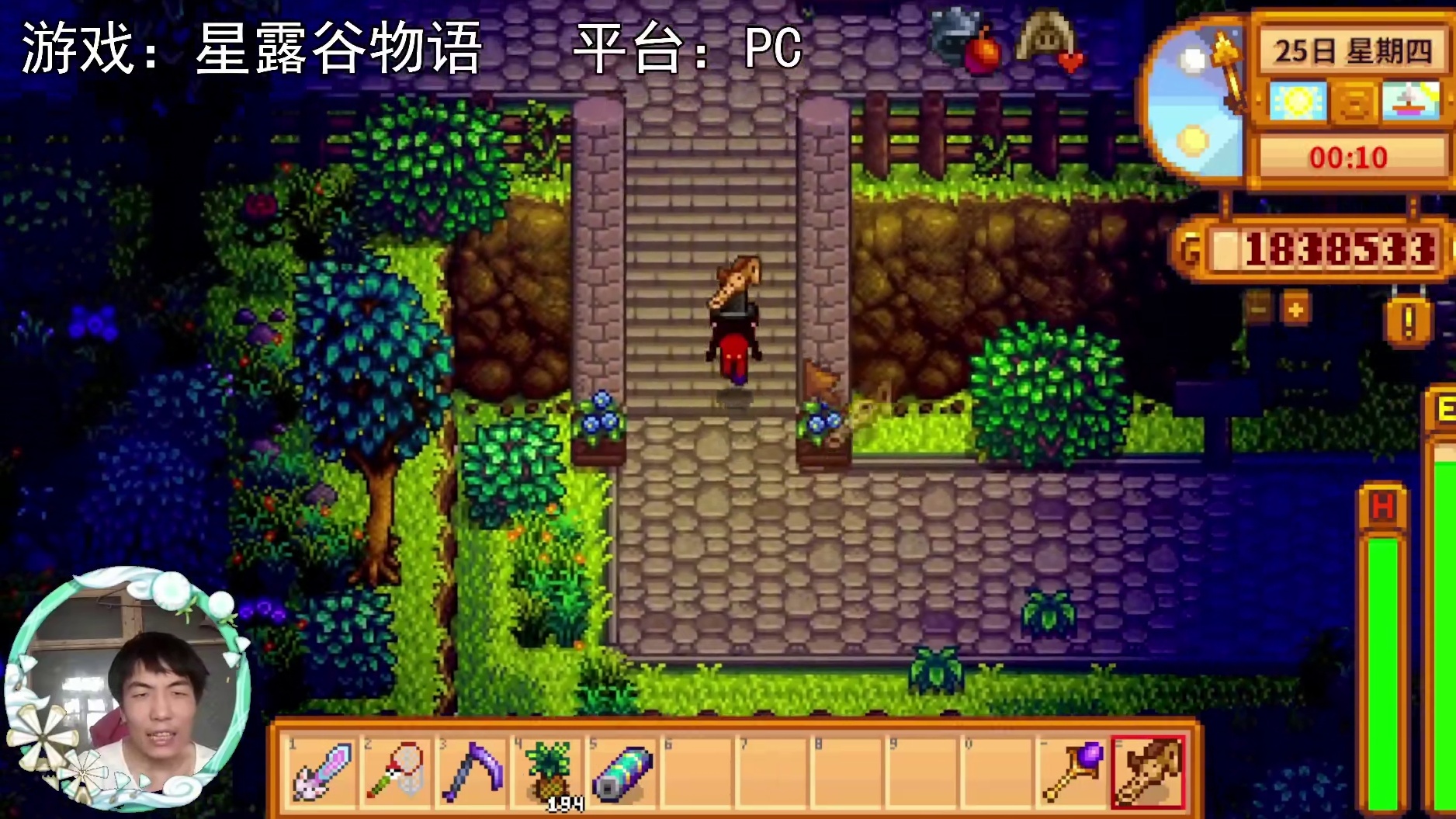 【星露谷物语】里奇塞德村一日游！（雨天）