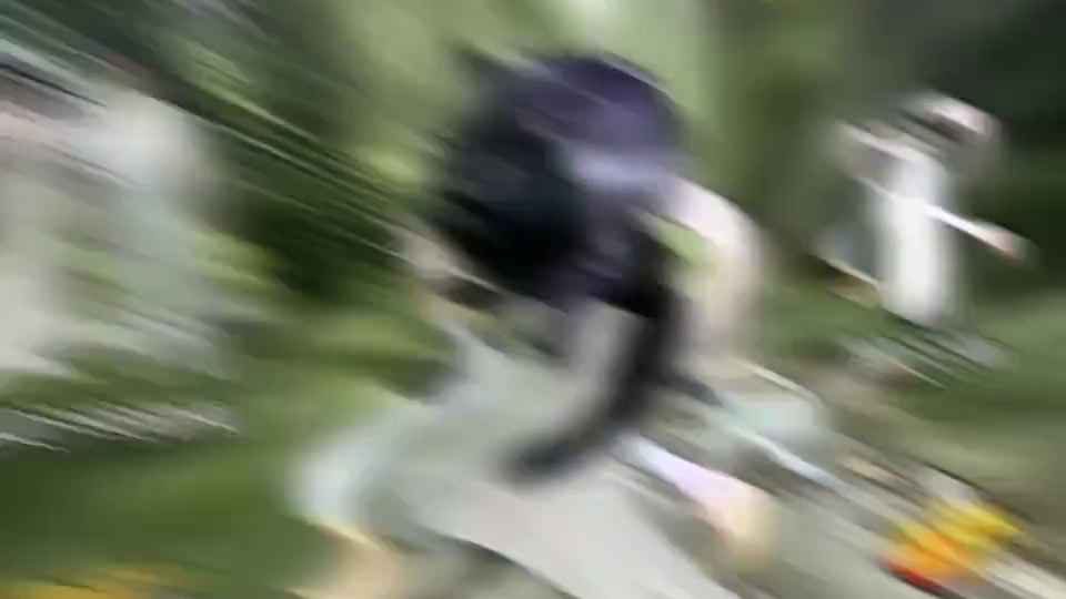 让我来诠释什么叫做张力！
 #QQ飞车手游   #黑狗张力   #张力小狗   #QQ飞车湘遇湖南版