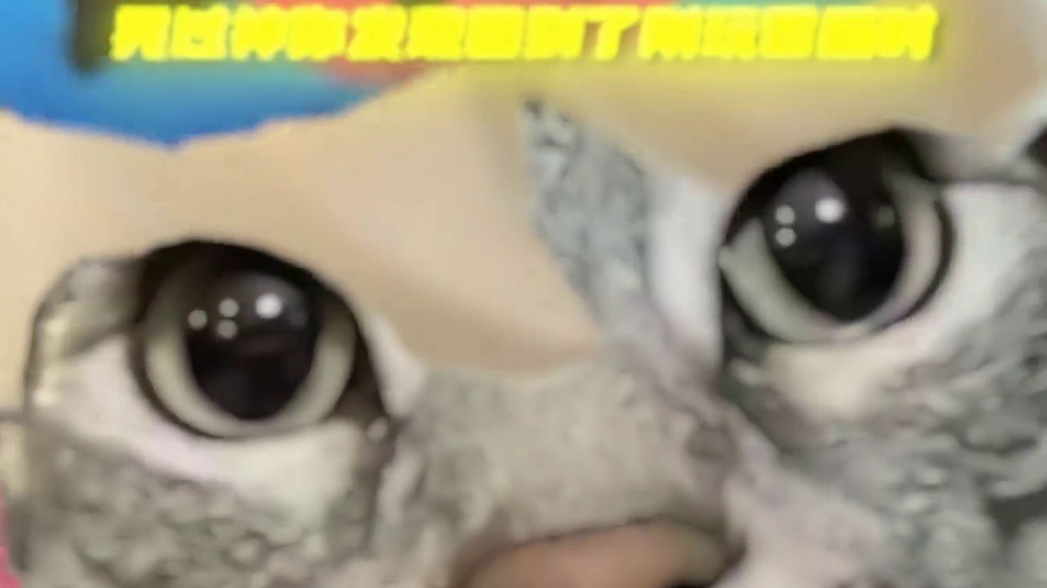 好像只是做了一场梦