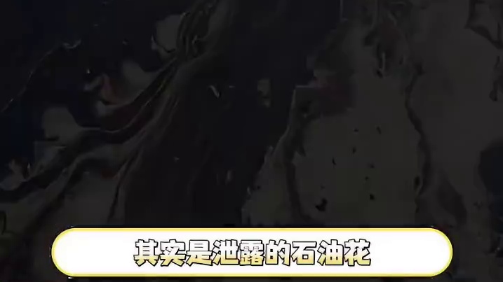 长大才看懂海绵宝宝