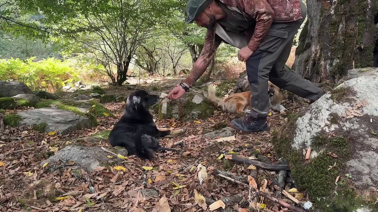 第2集：荒无人烟的野外，男人在两个枯木间搭建了舒适的小屋