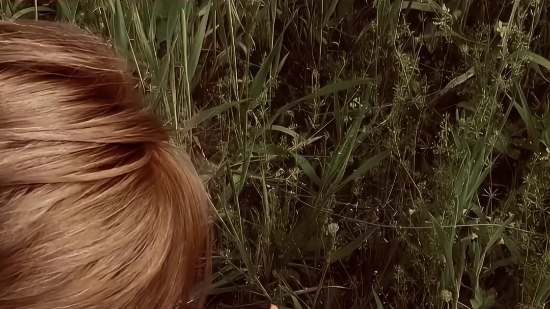 每当露思心疼一个角色 就会发一朵花而且从不重复