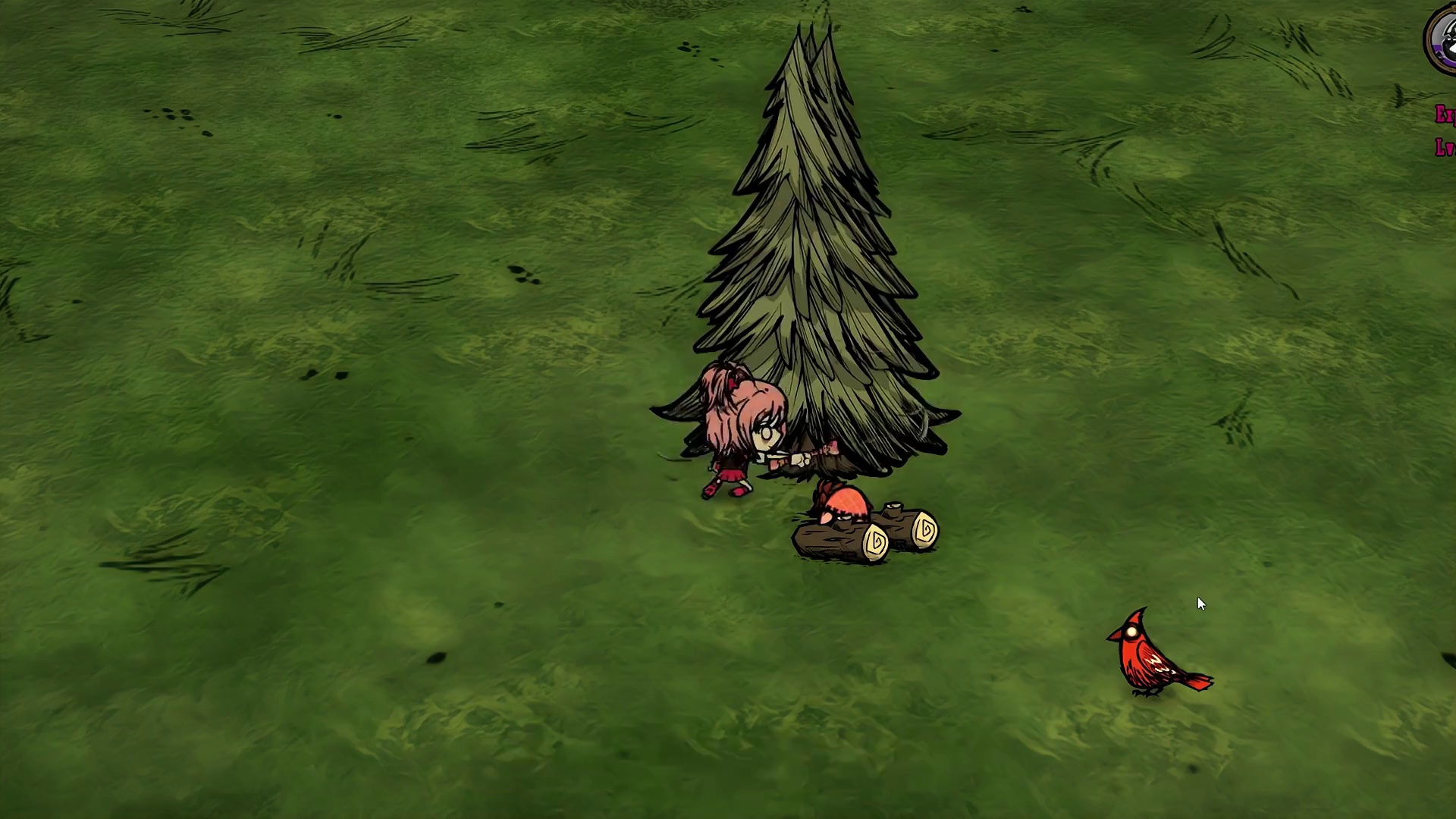 饥荒联机版模组：一个可以变身四种美少女的人物亚梦 #饥荒 #游戏 #游戏实况